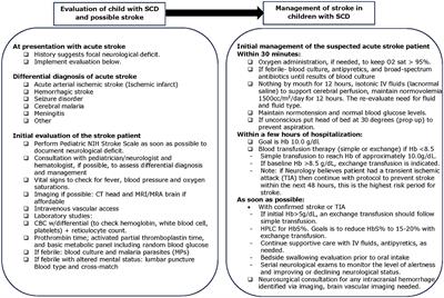 Identifying strokes in Nigerian children with sickle cell disease as part of clinical trials: training curriculum for healthcare professionals in low-income settings